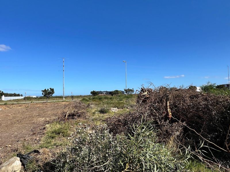 Build Your Dream Home in Popular Fountains Estate - Photo 5