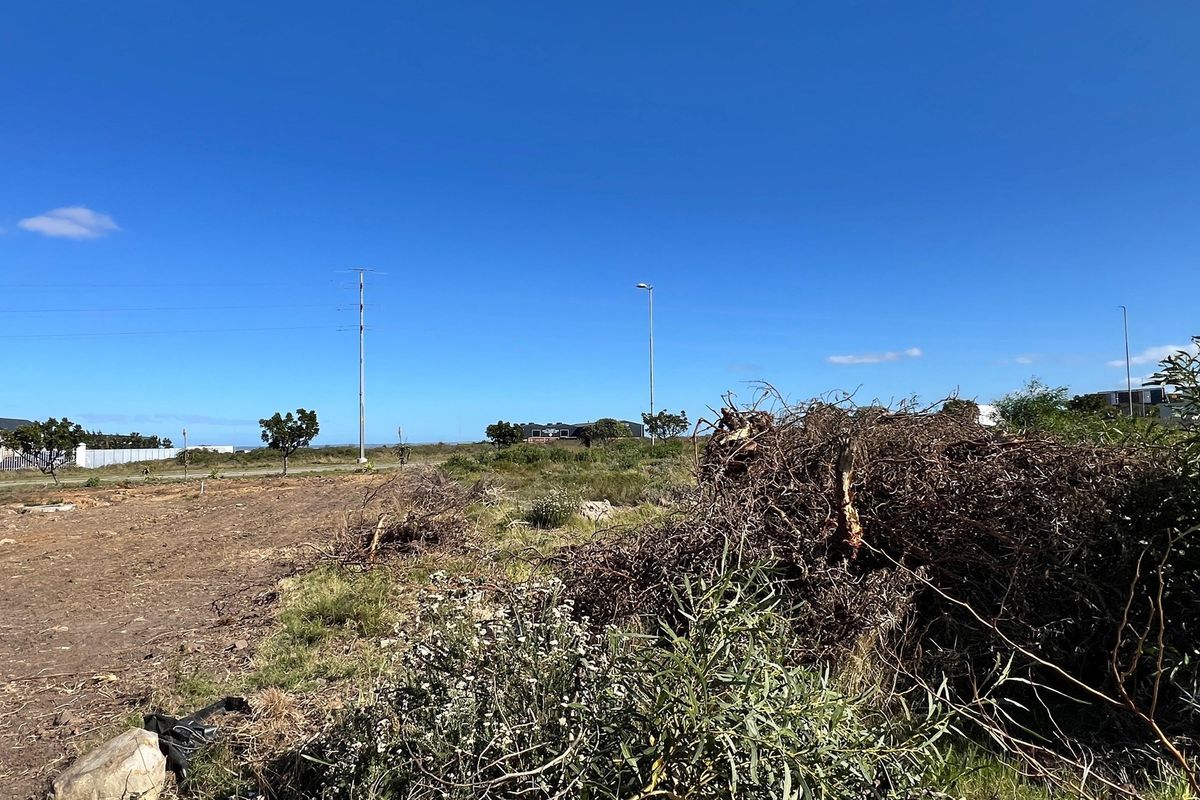 Build Your Dream Home in Popular Fountains Estate - Photo 5