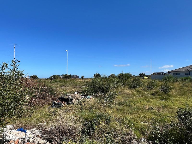 Build Your Dream Home in Popular Fountains Estate - Photo 2