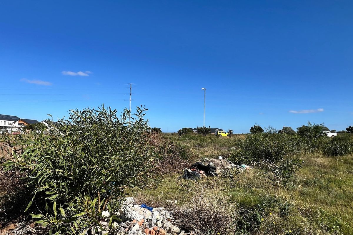 Build Your Dream Home in Popular Fountains Estate - Photo 3