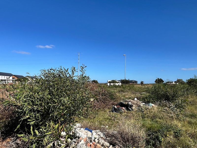 Build Your Dream Home in Popular Fountains Estate - Photo 6