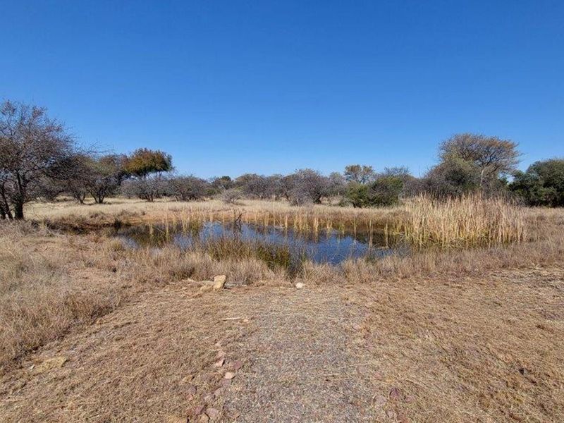 A natural landscape view featuring a small pond surrounded by dry grass and native trees under a clear blue sky.