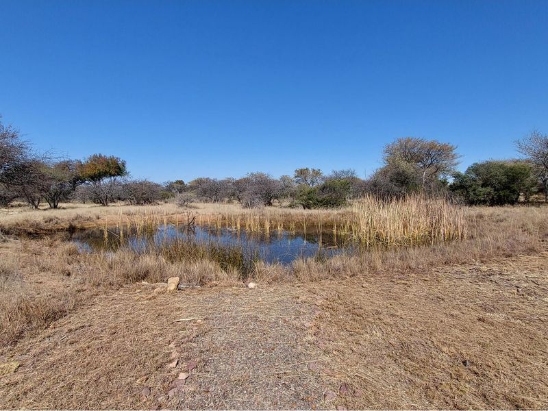 A natural pond set within a dry, grassy landscape featuring indigenous trees and reeds, offering a serene outdoor setting.