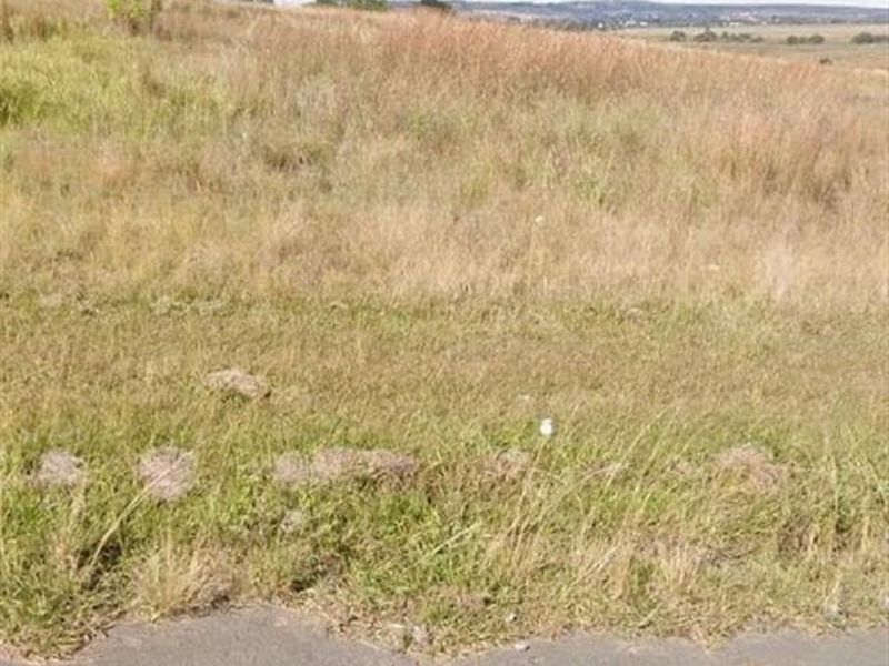 Make your dream a reality in Aviary Hill - where luxury living begins. - Photo 3