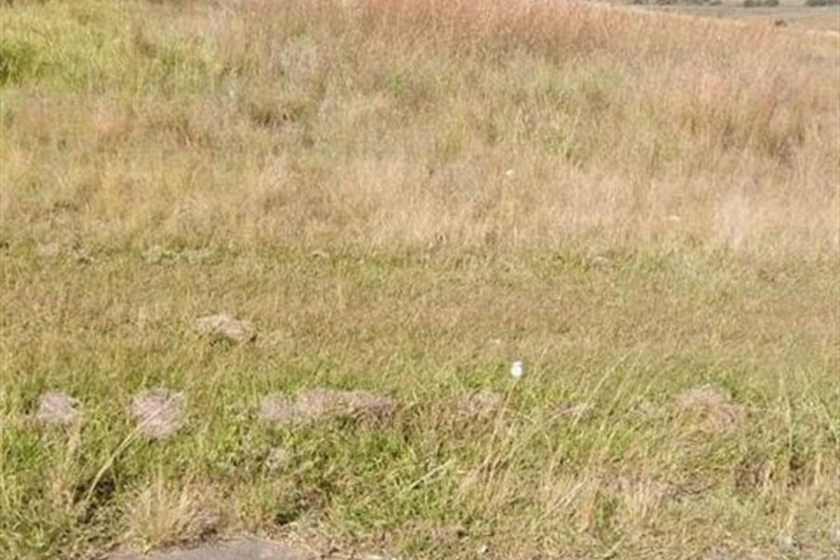 A view of a vacant residential plot of land featuring natural grassland and open space, ready for development.