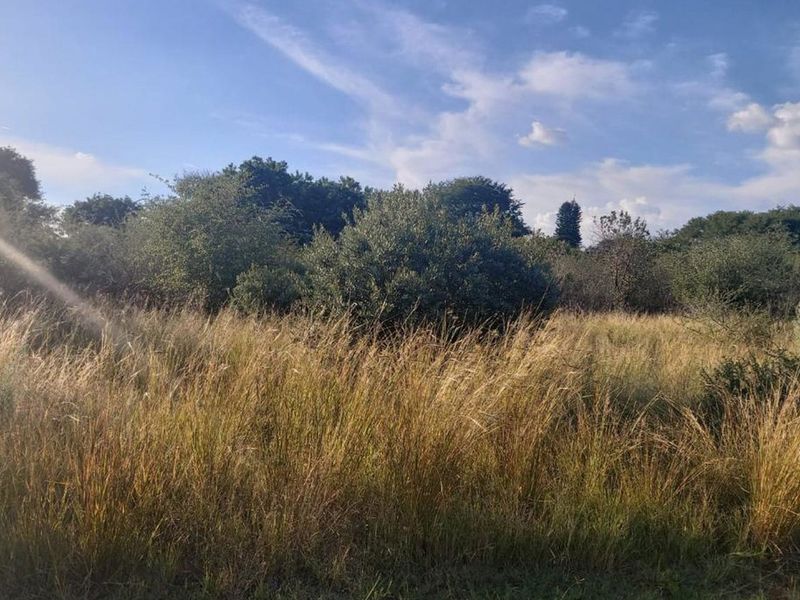 Opportunity to design and build your dream home or invest in a lucrative development project! - Photo 8