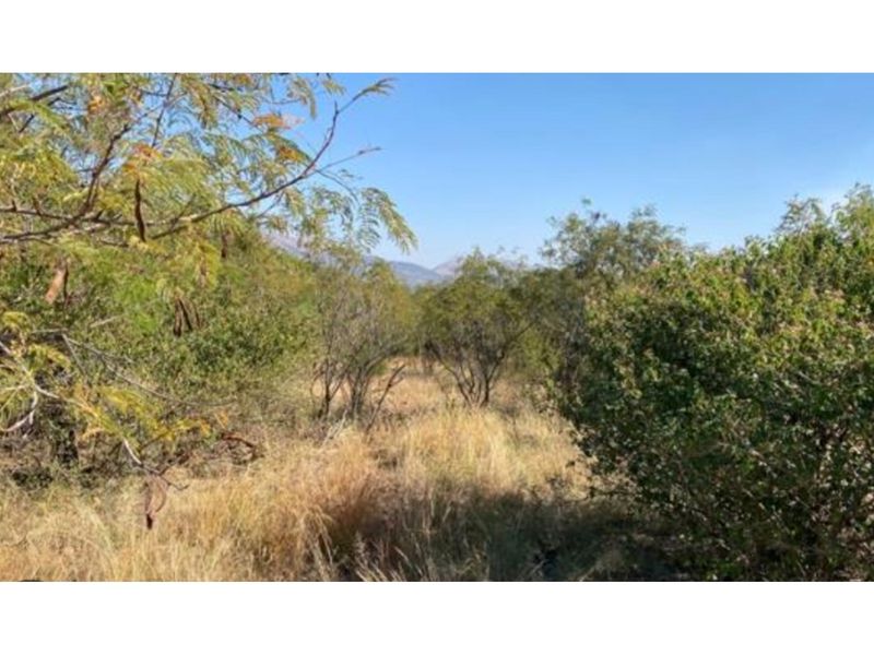 Opportunity to design and build your dream home or invest in a lucrative development project! - Photo 7