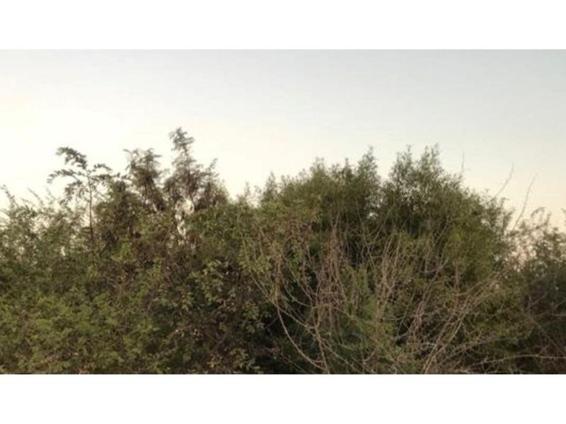 Opportunity to design and build your dream home or invest in a lucrative development project! - Photo 6