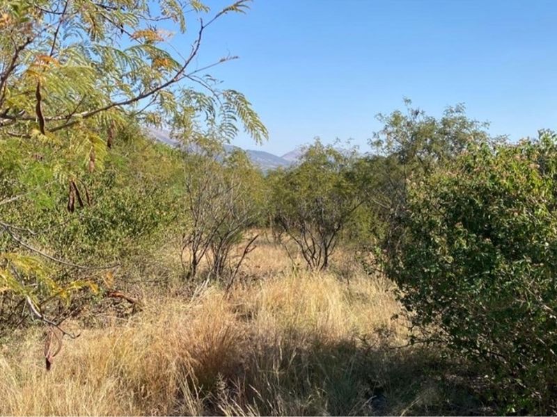 Opportunity to design and build your dream home or invest in a lucrative development project! - Photo 2