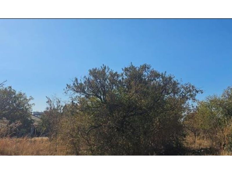 Opportunity to design and build your dream home or invest in a lucrative development project! - Photo 5