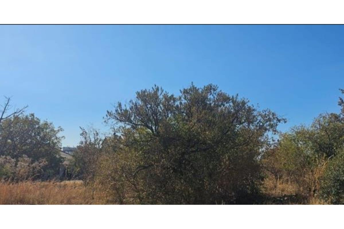 Opportunity to design and build your dream home or invest in a lucrative development project! - Photo 5