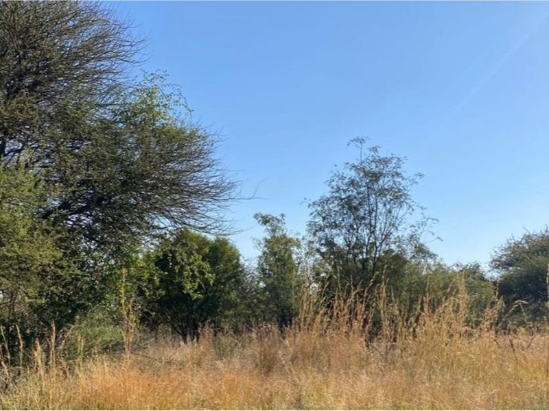 Opportunity to design and build your dream home or invest in a lucrative development project! - Photo 3