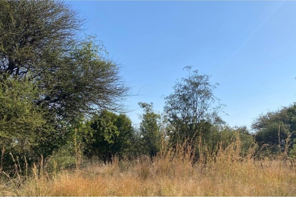 Opportunity to design and build your dream home or invest in a lucrative development project! - Photo 3