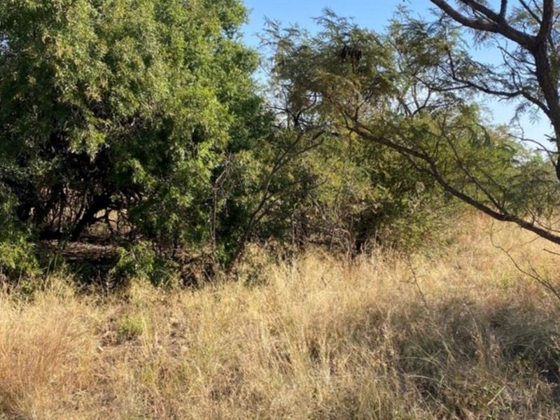 Opportunity to design and build your dream home or invest in a lucrative development project! - Photo 4