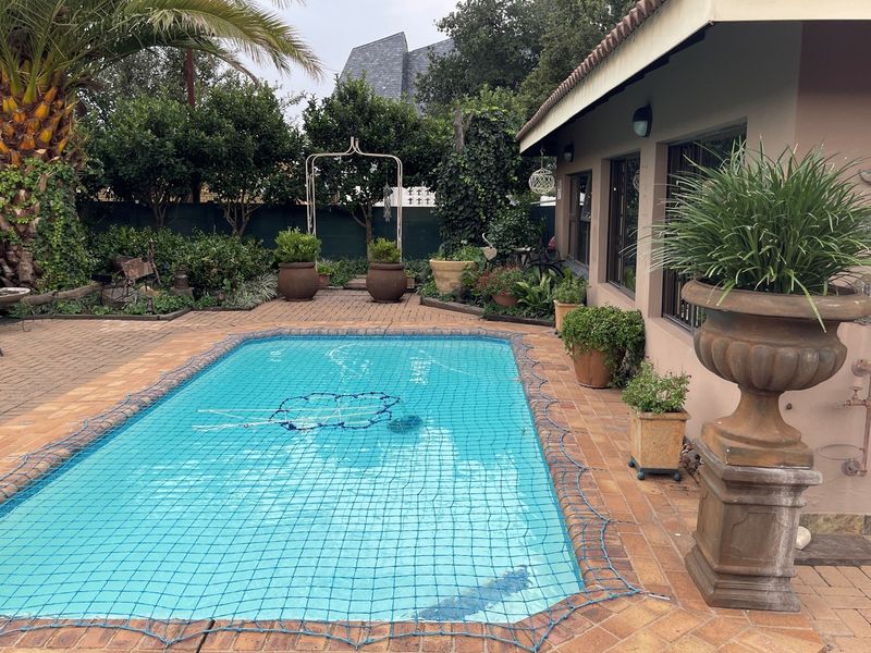 A private backyard featuring a swimming pool with a safety net, surrounded by brick paving and established garden landscaping.
