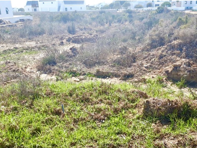 A vacant residential plot featuring natural vegetation and uneven terrain, situated in a developed neighborhood with surrounding residential properties.