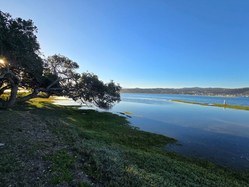 Front-Row Stand with Unmatched Lagoon Views in Brenton on Lake - Photo 9
