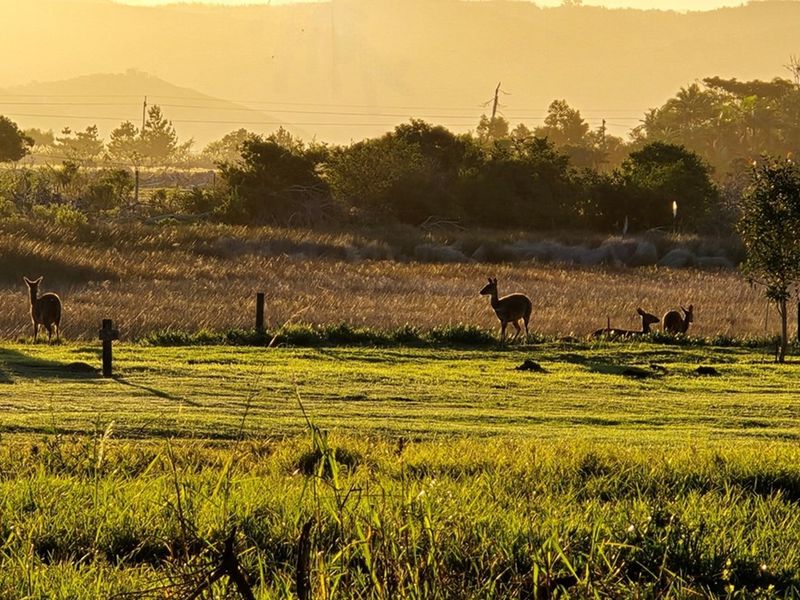 Front-Row Stand with Unmatched Lagoon Views in Brenton on Lake - Photo 10