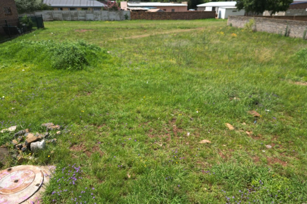 Prime business opportunity - Photo 2