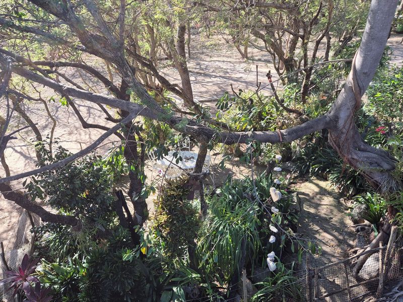 House For Sale in Blyde River Botanical Reserve, Hoedspruit - Photo 8