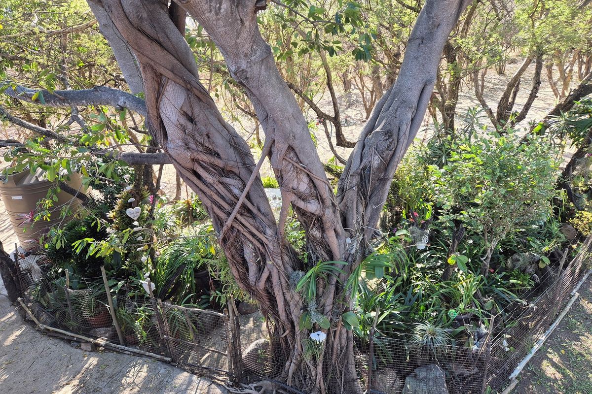 House For Sale in Blyde River Botanical Reserve, Hoedspruit - Photo 5