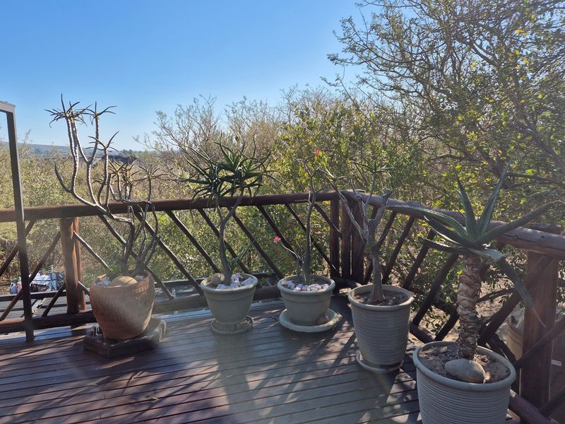 House For Sale in Blyde River Botanical Reserve, Hoedspruit - Photo 7