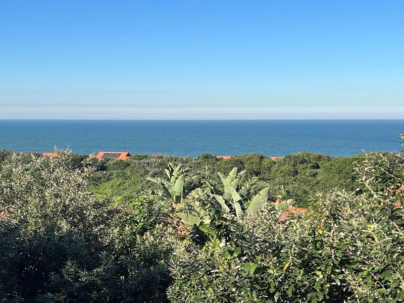 Stunning Modern 5 Bedroom Home with Ocean Views in Zimbali estate - Photo 3