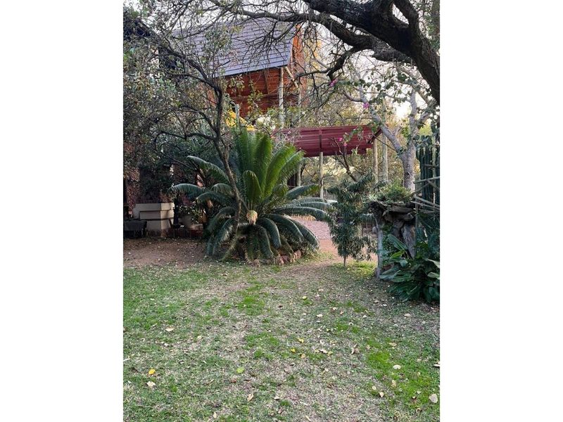 Pulani Park - Naboomspruit Large House and flat in Private Game Reserve with solar system - Photo 7