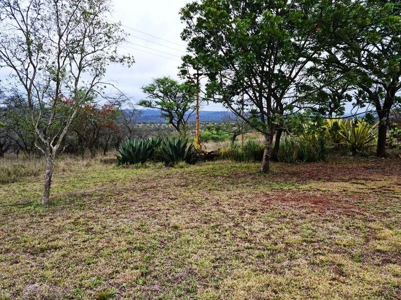 710 Ha Louis Trichardt Farm: Prime Investment in Cattle and Game. - Photo 5