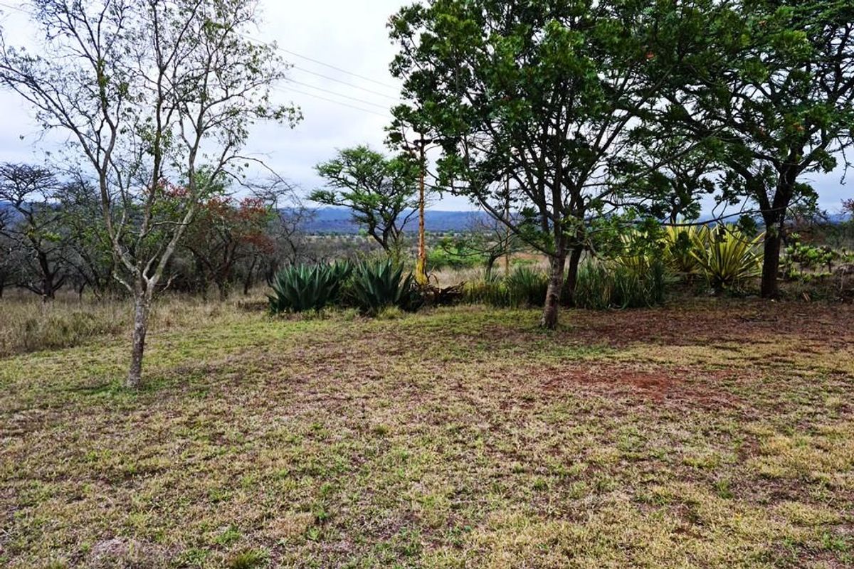 710 Ha Louis Trichardt Farm: Prime Investment in Cattle and Game. - Photo 5