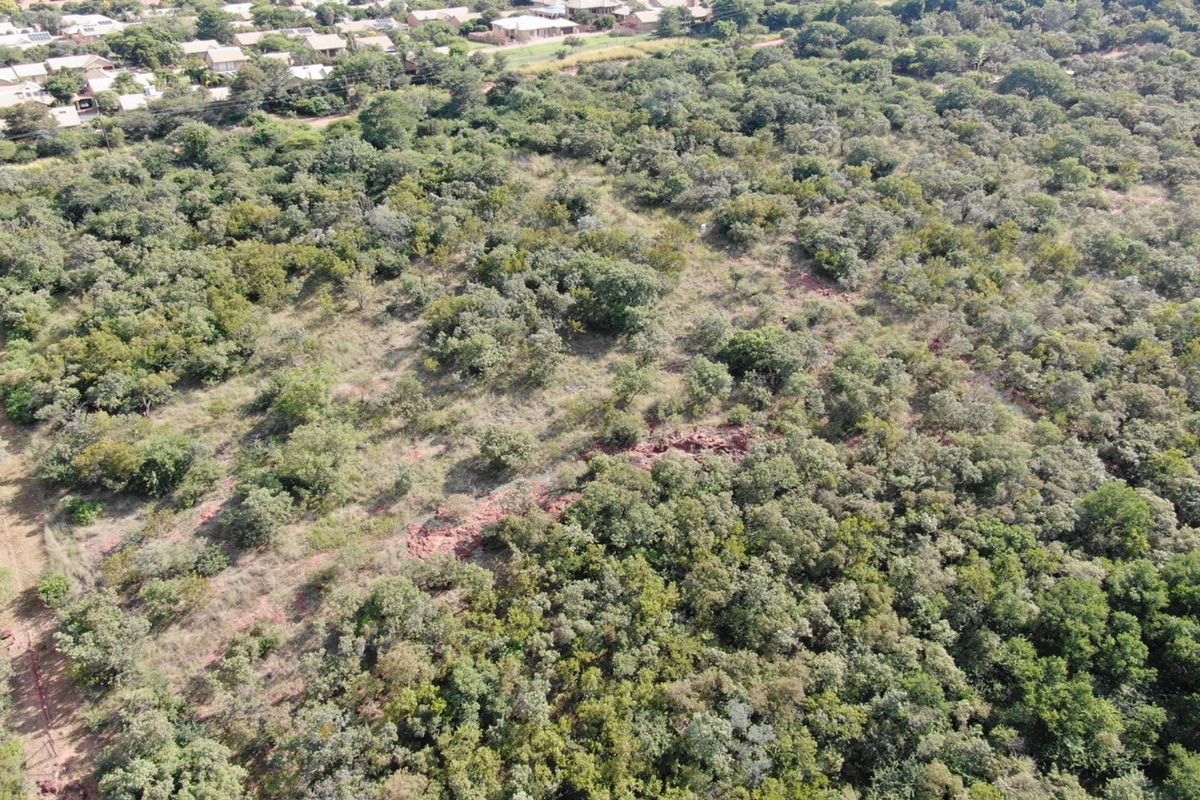 An aerial view of a vacant residential plot featuring dense natural vegetation and indigenous trees, situated near an established residential neighborhood.