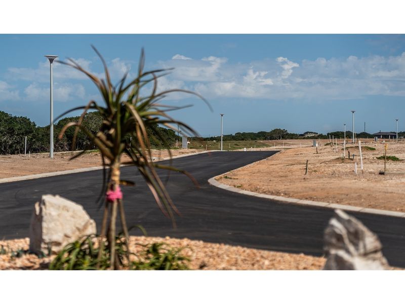 A view of a newly developed residential street featuring paved asphalt roads, concrete curbing, and installed street lighting within a vacant land estate.