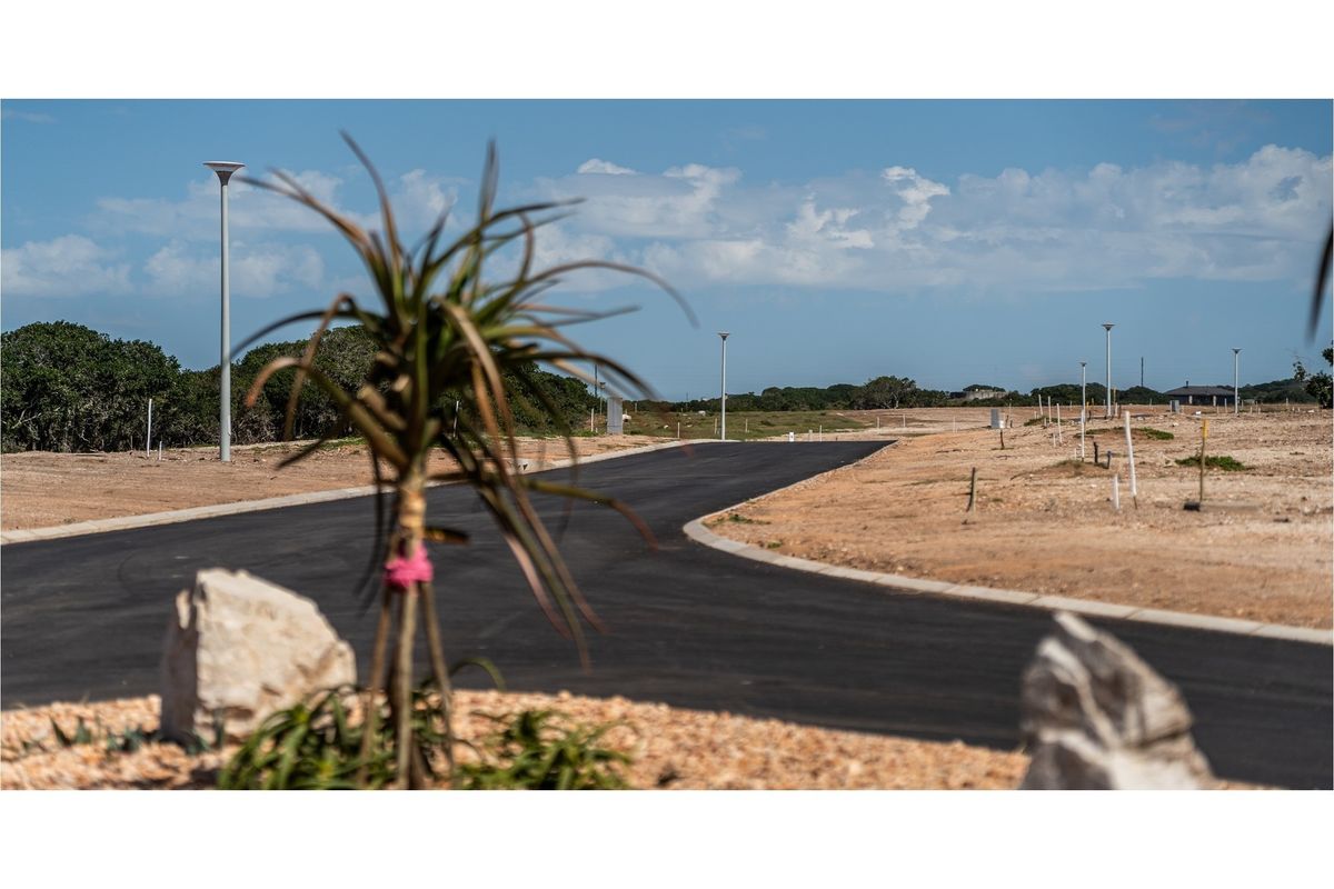 A view of a newly developed residential street featuring paved asphalt roads, concrete curbing, and installed street lighting within a vacant land estate.