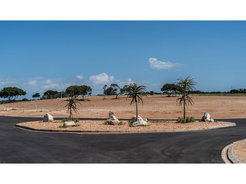 A view of a paved residential street intersection featuring a landscaped traffic island with gravel and young trees in a vacant land development.