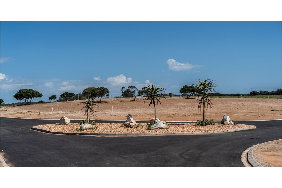 A view of a paved residential street intersection featuring a landscaped traffic island with gravel and young trees in a vacant land development.