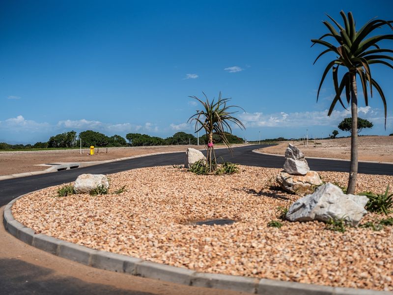 A view of a paved residential street with a landscaped traffic island and clear road infrastructure in a vacant land development.