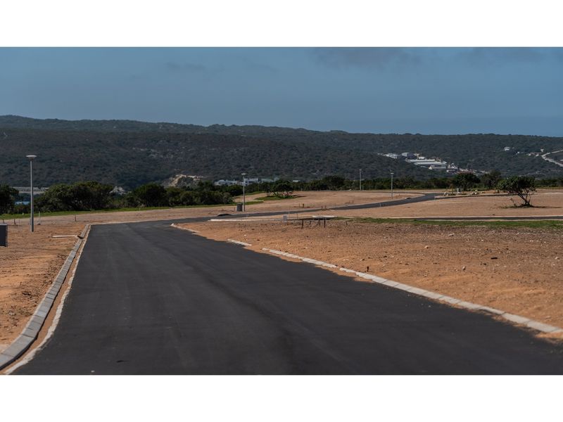 A view of a newly paved residential street within a vacant land development, featuring concrete curbing and installed street lighting.