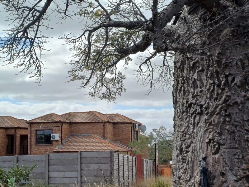 Explore This 9 Unit Investment Gem in Musina! - Photo 7