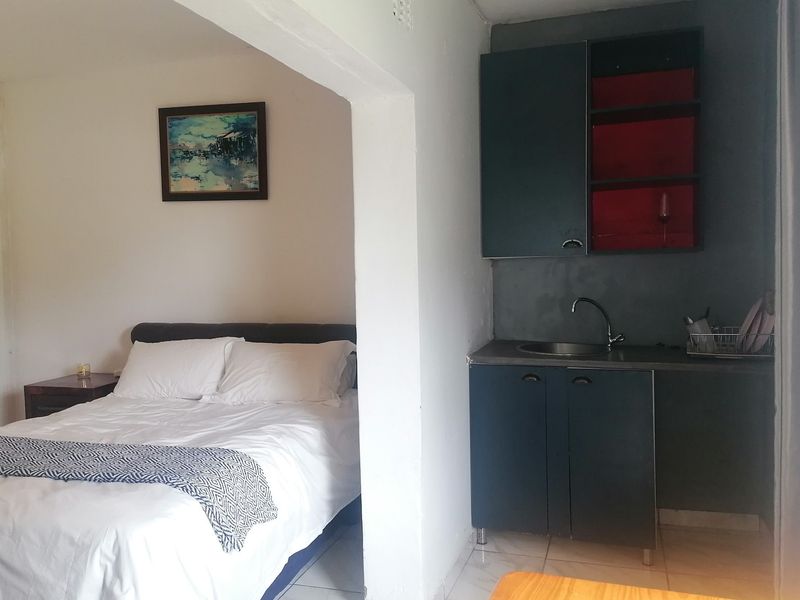 Open-plan studio space featuring a compact kitchenette with built-in cabinetry and sink, seamlessly connected to the bedroom area.