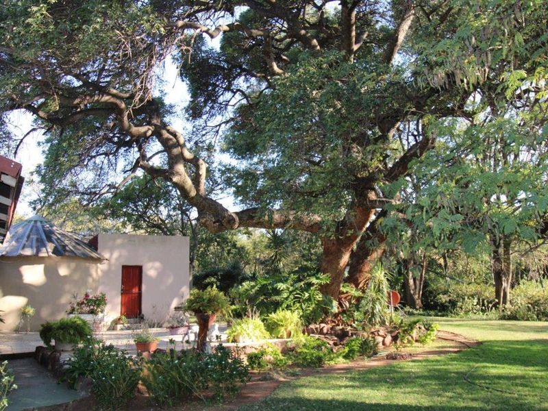 Farm 21.4 hectare near Modimolle in Limpopo - spectacular mountain views. - Photo 2