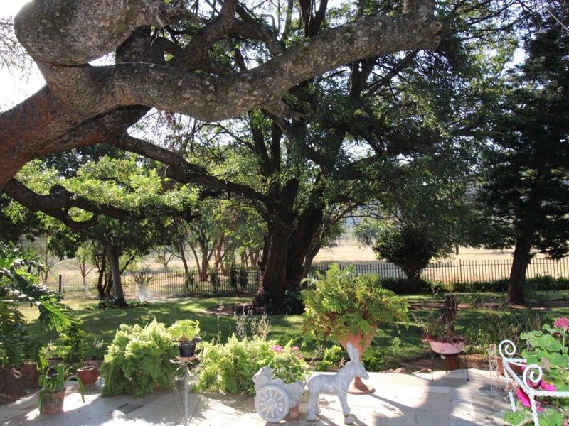 Farm 21.4 hectare near Modimolle in Limpopo - spectacular mountain views. - Photo 8