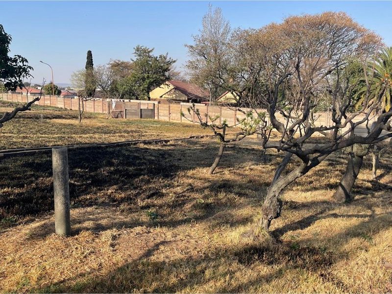 A view of a vacant residential plot featuring mature trees, perimeter walling, and dry, scorched grass areas.