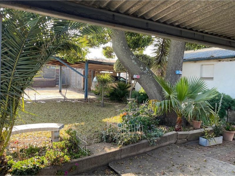 View from a covered patio overlooking a garden area with mature trees, established landscaping, and a secondary carport structure.