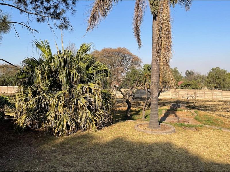 A view of the residential vacant land featuring mature palm trees, established shrubs, and perimeter boundary walling.