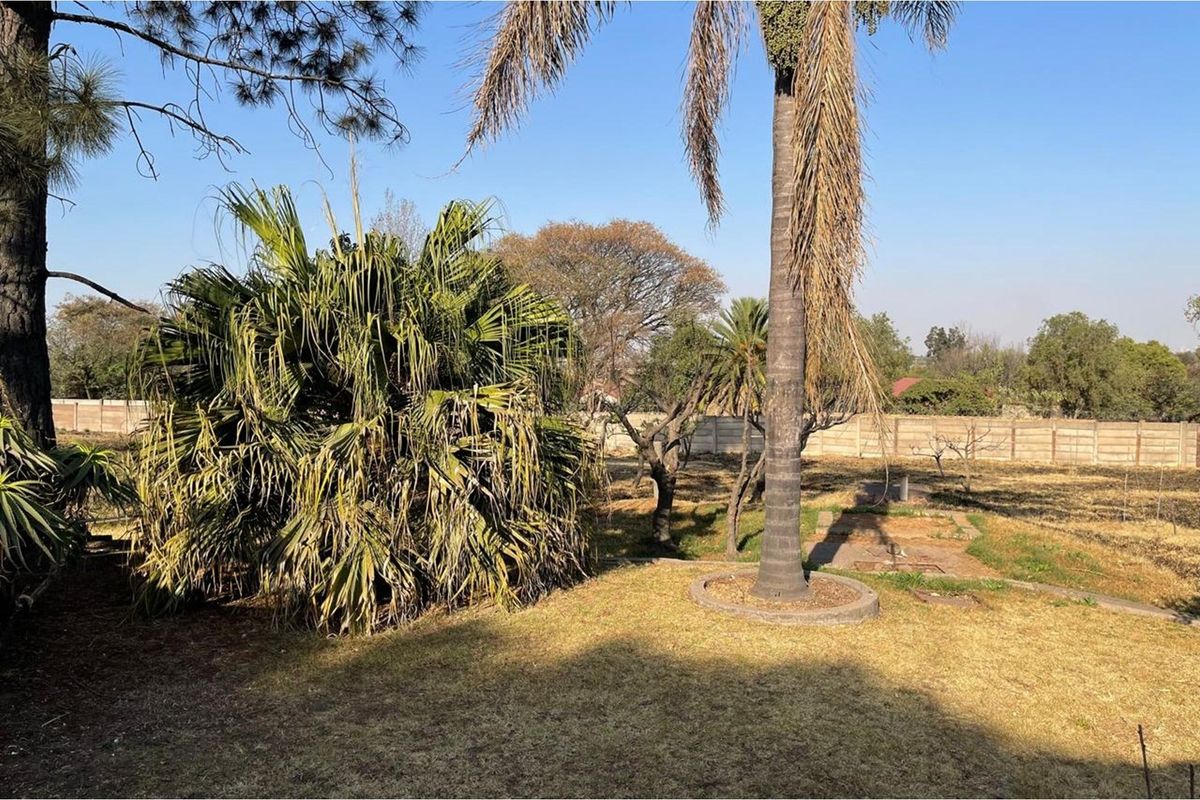 A view of the residential vacant land featuring mature palm trees, established shrubs, and perimeter boundary walling.