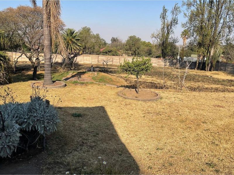 A view of a large, dry residential garden plot featuring mature trees, established shrubs, and a perimeter concrete wall.