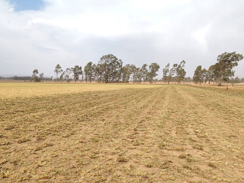 *Prime Agricultural Land for Sale * Meyerton * Vogelfontein * 20.2341HA - Photo 4