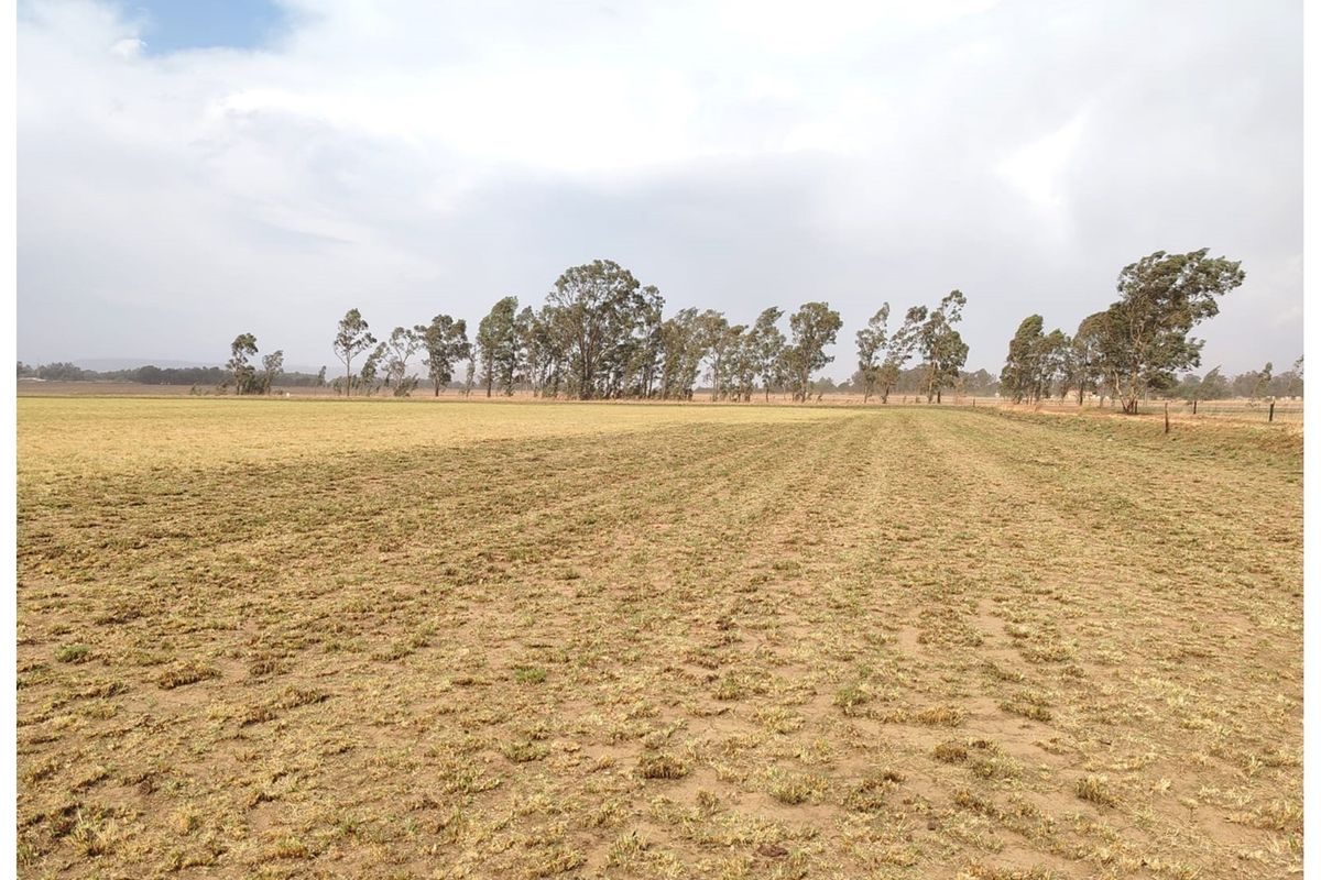 *Prime Agricultural Land for Sale * Meyerton * Vogelfontein * 20.2341HA - Photo 4