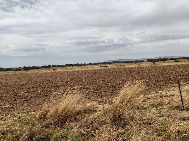 *Prime Agricultural Land for Sale * Meyerton * Vogelfontein * 20.2341HA - Photo 10