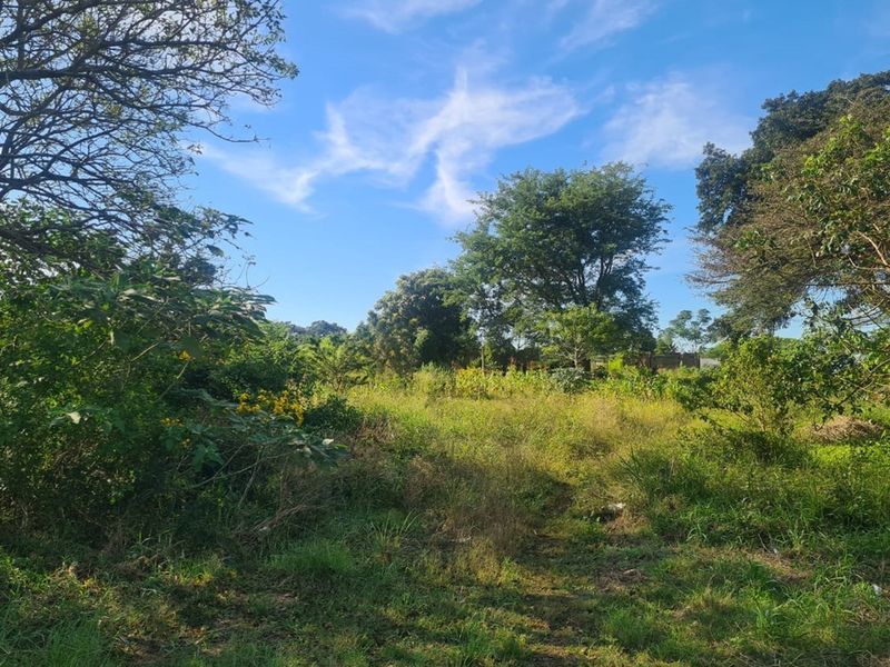 Prime Industrial Vacant Land for Sale - Photo 7